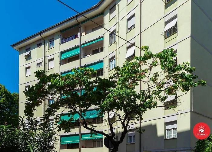 Peaceful Apartment