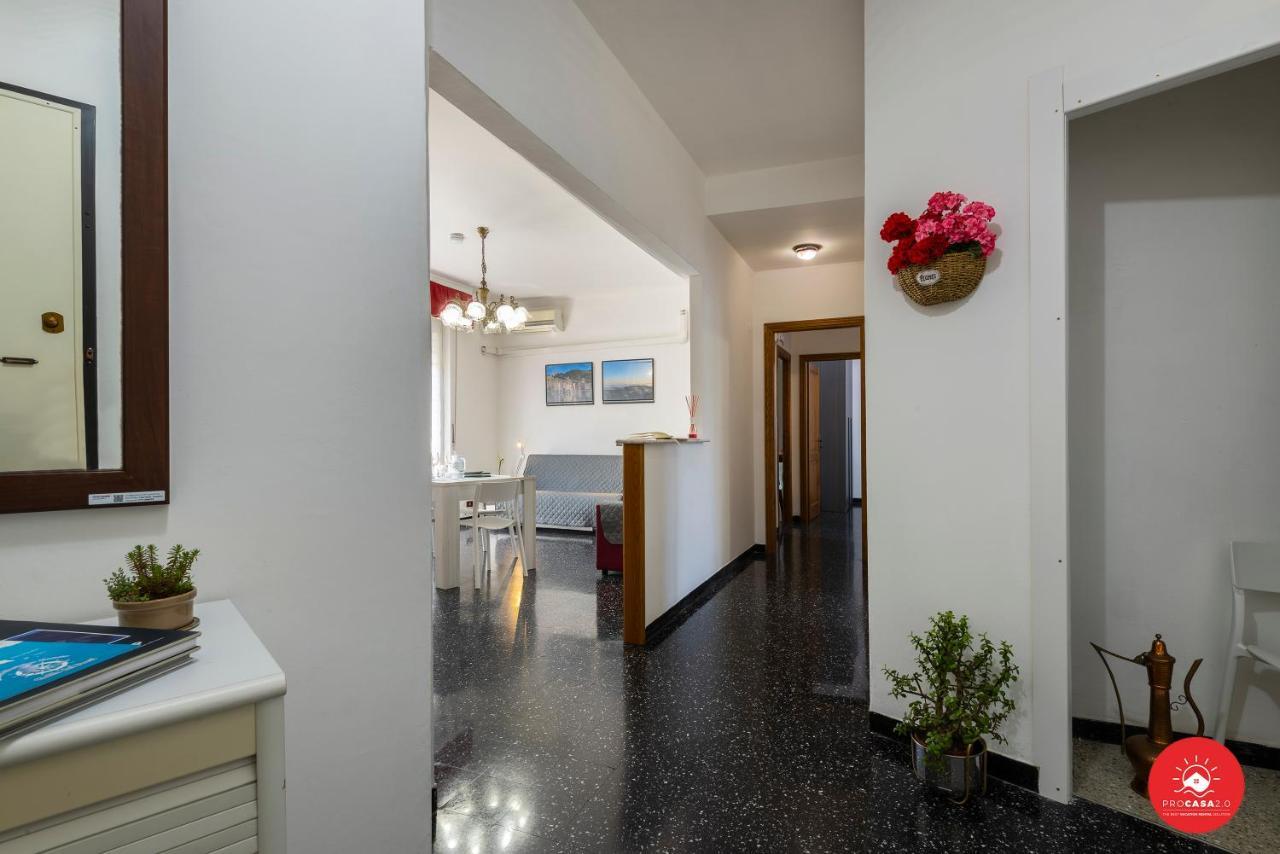 Peaceful Apartment